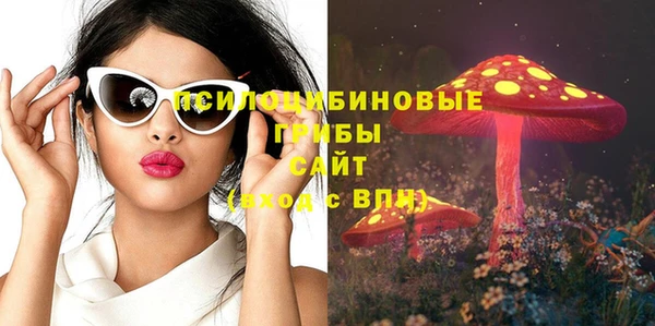 spice Абинск