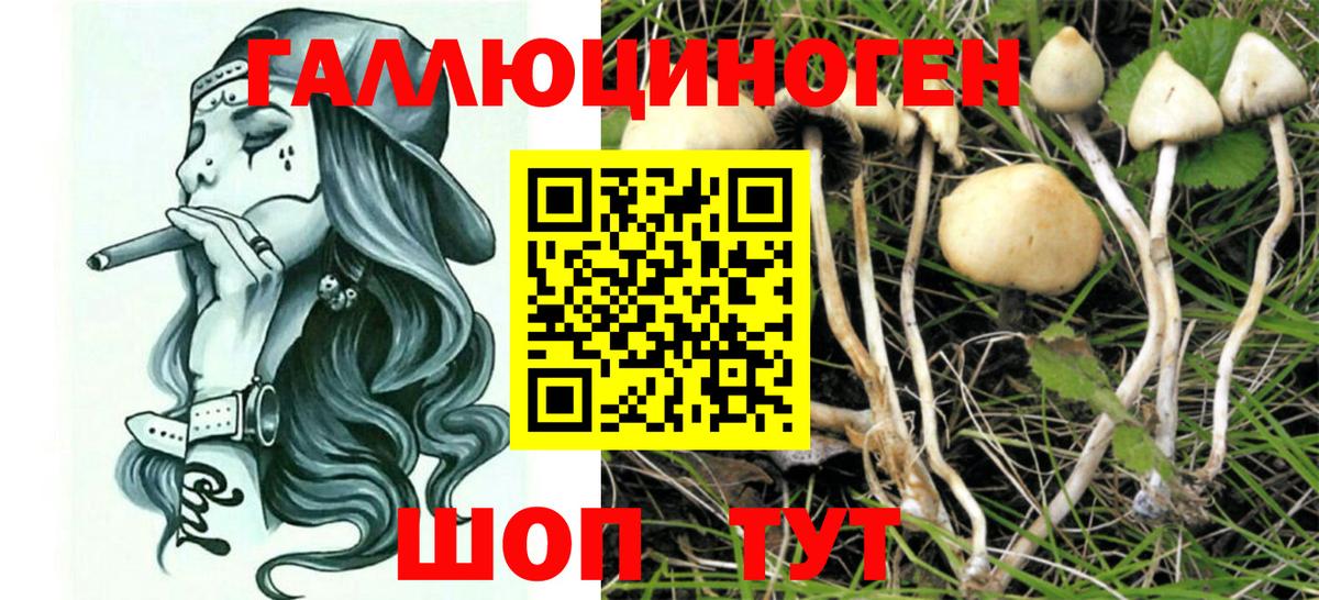 Галлюциногенные грибы прущие грибы Омск