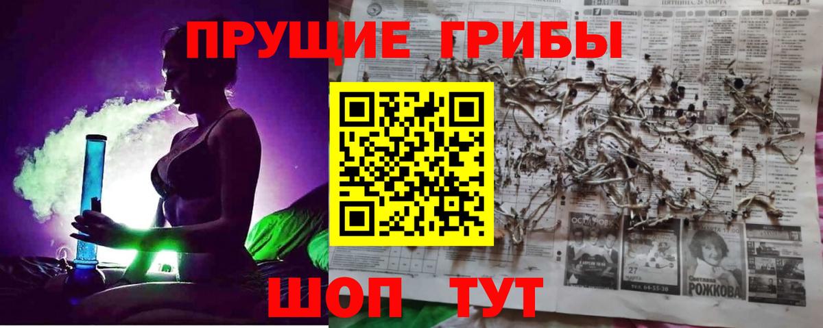 Омск  Псилоцибиновые грибы GOLDEN TEACHER  Галлюциногенные грибы прущие грибы  Вход с VPN 